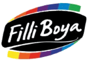 Filli Boya